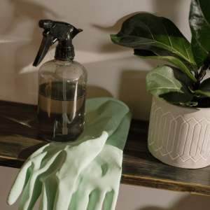 liquid non detergent soap for plants