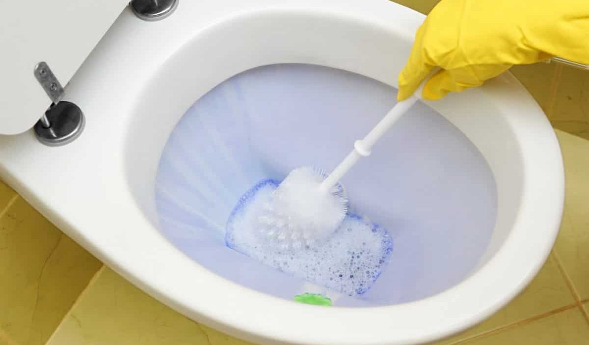  Introducing toilet cleaner liquid + the best purchase price 