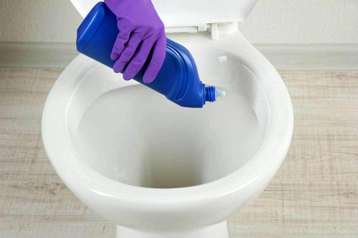  what is toilet cleaner + purchase price of toilet cleaner 