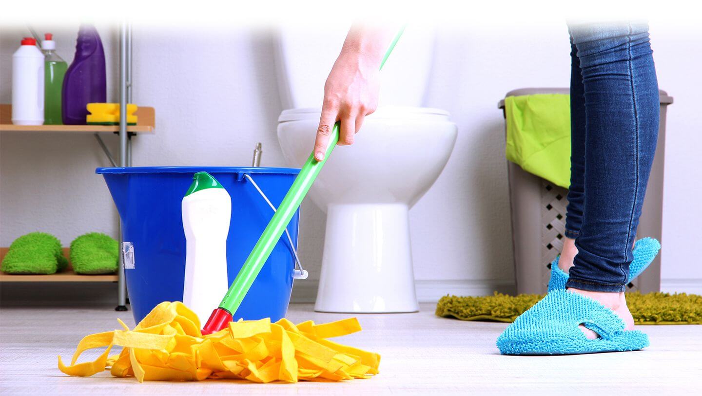  what is toilet cleaner + purchase price of toilet cleaner 