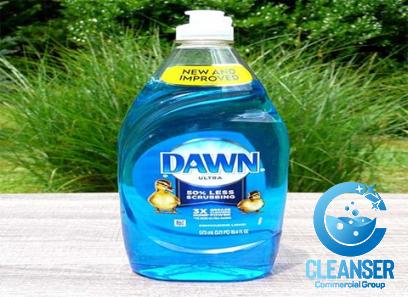 Learning to buy a fleas dawn dish soap from zero to one hundred